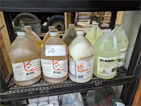 Lot 28 - SET: Power Steam, Odour Eliminator, One Rub, 12% Bleach