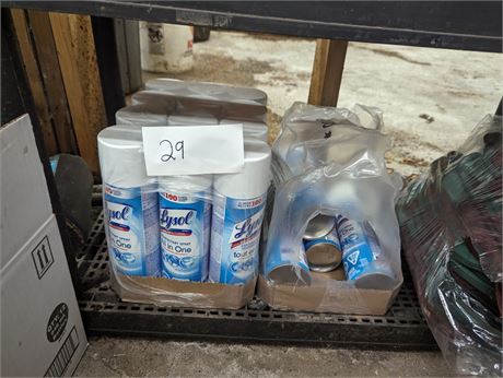 Lot 29 -  Disinfectant  Spray Lyson