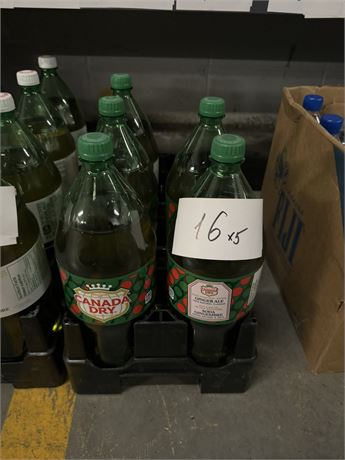 Lot 16 - Canada Dry Ginger Ale 2L