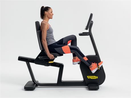 Lot 37 -Techno Gym Recline Bike