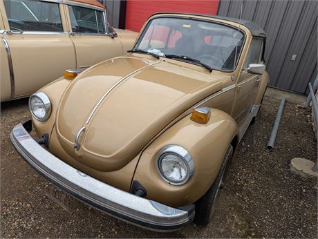 Lot 33 - 1979 Volkswagen Bug