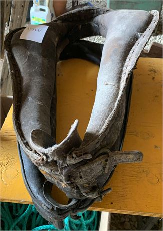 Lot 161 - Collars