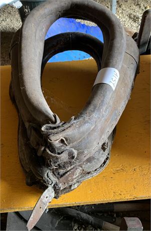 Lot 159 - Collars