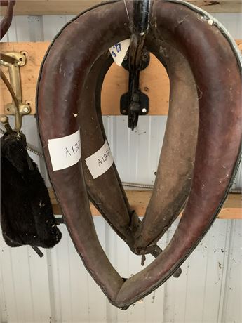 Lot 122 - Collars