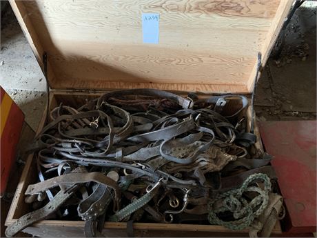 Lot 234 - Various Horse Harnesses