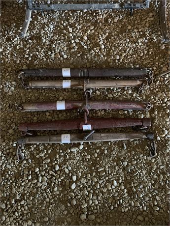 Lot 51 -(5) Single Trees