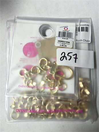 Lot 257 - CrossBody Chain and Phone Connector