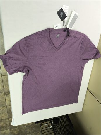 Lot 263 - Raffi Vneck Tshirts