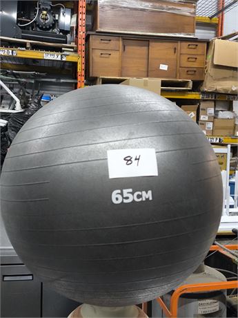 Lot 84 - 65cm Work Out Ball