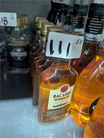 Lot 111 - Bacardi Gold Rum