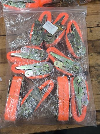 Lot 238 - Ratchet Straps