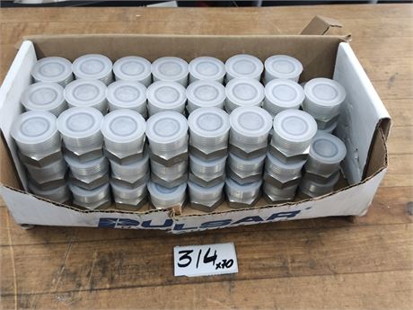 Lot 314 - Pulsar Hydraulics orfs plug