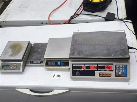 Lot 2-104 - Digital Electronic Scales