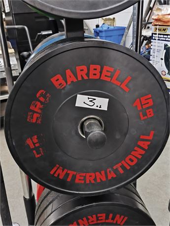 Lot 3 - Bumper Plate