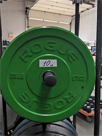 Lot 10 - Bumper Plate