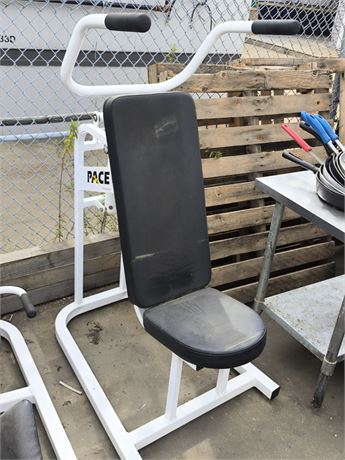 Lot 32 - Shoulder Press Machine
