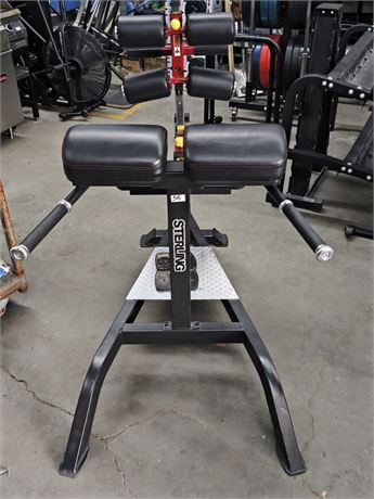 Lot 36 - Hyperextension Bench